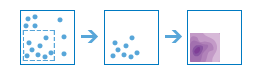 Calculate Density workflow Calculate Density workflow